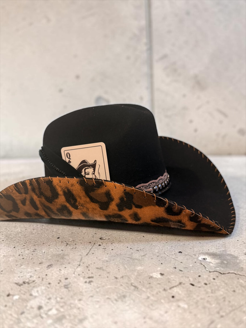 The Midnight Leopard